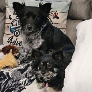 Meet your Posher, Cindy